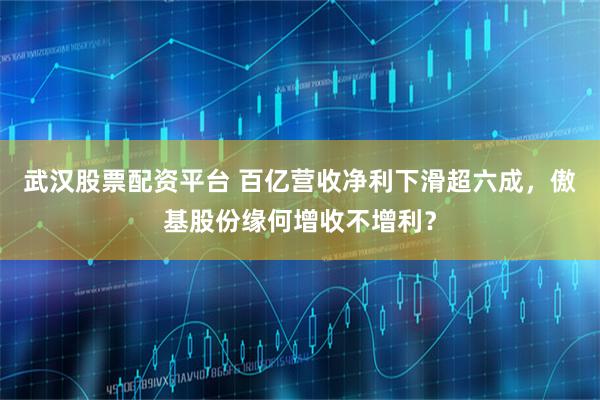 武汉股票配资平台 百亿营收净利下滑超六成，傲基股份缘何增收不增利？